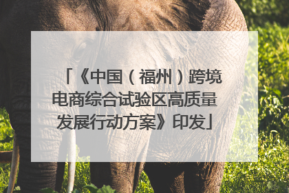《中国（福州）跨境电商综合试验区高质量发展行动方案》印发