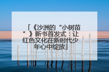 《沙洲的“小树苗”》新书首发式：让红色文化在新时代少年心中绽放