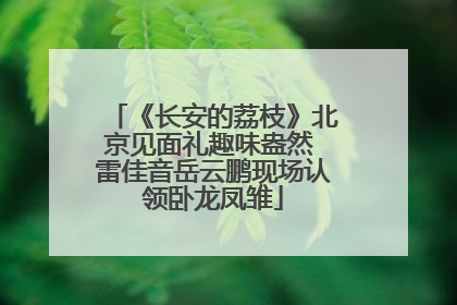 《长安的荔枝》北京见面礼趣味盎然 雷佳音岳云鹏现场认领卧龙凤雏
