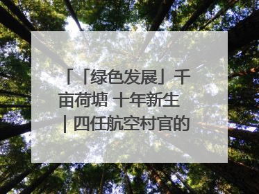 「绿色发展」千亩荷塘 十年新生｜四任航空村官的“生态接力”