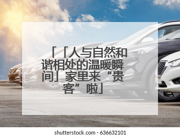 「人与自然和谐相处的温暖瞬间」家里来“贵客”啦