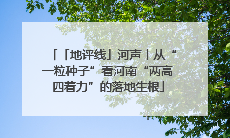 「地评线」河声丨从“一粒种子”看河南“两高四着力”的落地生根