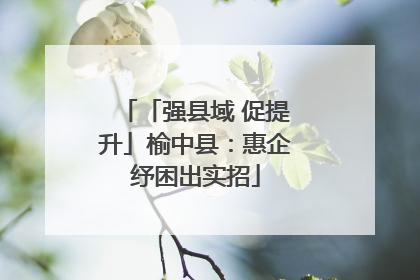 「强县域 促提升」榆中县：惠企纾困出实招