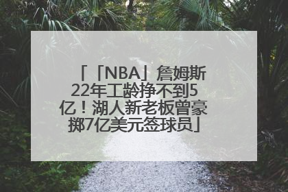 「NBA」詹姆斯22年工龄挣不到5亿！湖人新老板曾豪掷7亿美元签球员