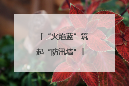 “火焰蓝”筑起“防汛墙”