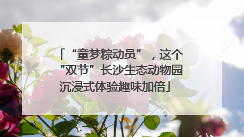 “童梦粽动员”，这个“双节”长沙生态动物园沉浸式体验趣味加倍