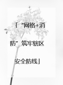 “网格+消防”筑牢辖区安全防线