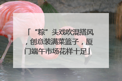 “粽”头戏吹混搭风，创意装满菜篮子，厦门端午市场花样十足