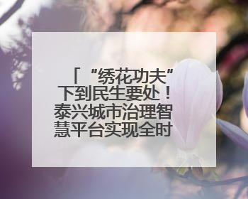 “绣花功夫”下到民生要处！泰兴城市治理智慧平台实现全时段联网全要素细治
