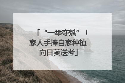 “一举夺魁”！家人手捧自家种植向日葵送考