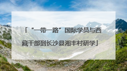 “一带一路”国际学员与西藏干部到长沙县湘丰村研学