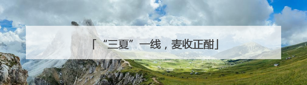“三夏”一线，麦收正酣