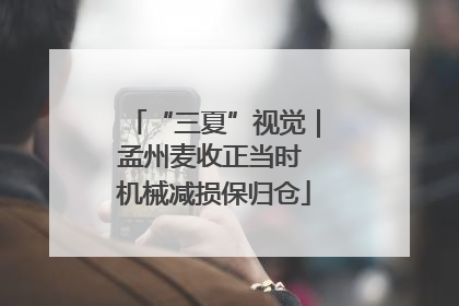 “三夏”视觉｜孟州麦收正当时 机械减损保归仓