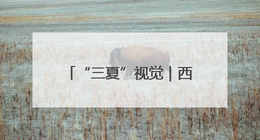 “三夏”视觉｜西平县：高标准农田里上演昼夜不停的“速度与激情”