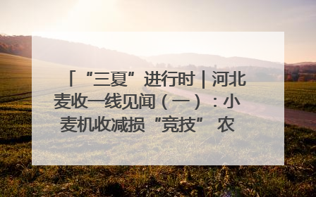 “三夏”进行时｜河北麦收一线见闻（一）：小麦机收减损“竞技” 农机高手麦田“过招”