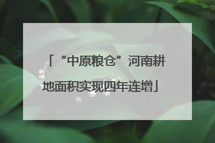 “中原粮仓”河南耕地面积实现四年连增