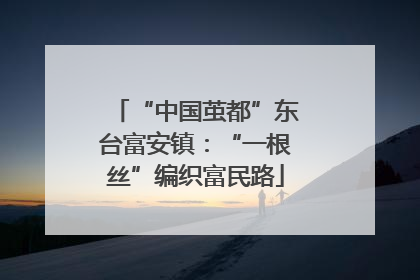 “中国茧都”东台富安镇：“一根丝”编织富民路