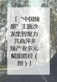 “中国辣都”主题沙龙集智聚力 共商萍乡辣产业多元赋能路径（图）