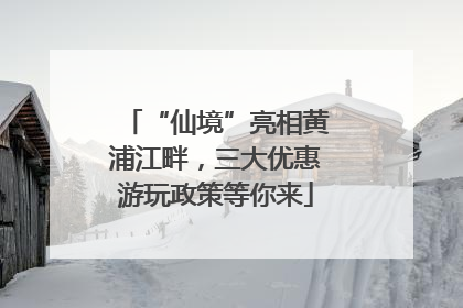 “仙境”亮相黄浦江畔，三大优惠游玩政策等你来