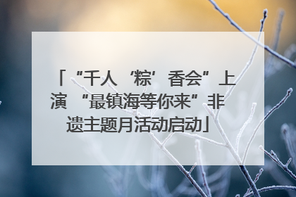 “千人‘粽’香会”上演 “最镇海等你来”非遗主题月活动启动