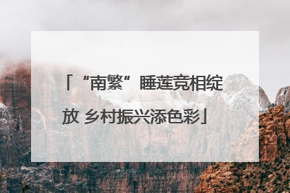 “南繁”睡莲竞相绽放 乡村振兴添色彩