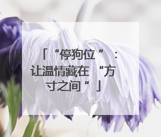 “停狗位 ”：让温情藏在 “方寸之间 ”