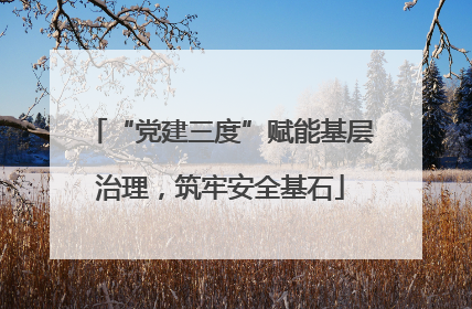 “党建三度”赋能基层治理，筑牢安全基石