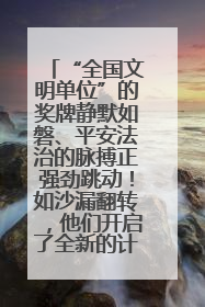 “全国文明单位”的奖牌静默如磐、平安法治的脉搏正强劲跳动！如沙漏翻转，他们开启了全新的计时