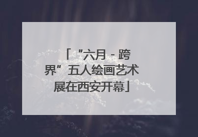 “六月 - 跨界”五人绘画艺术展在西安开幕