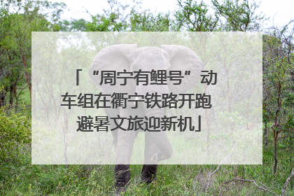 “周宁有鲤号”动车组在衢宁铁路开跑 避暑文旅迎新机