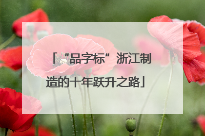“品字标”浙江制造的十年跃升之路