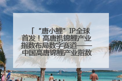 “唐小鲤”IP全球首发！高唐携锦鲤产业指数布局数字赛道——中国高唐锦鲤产业指数暨“唐小鲤”IP全球首发仪式在杭州举行