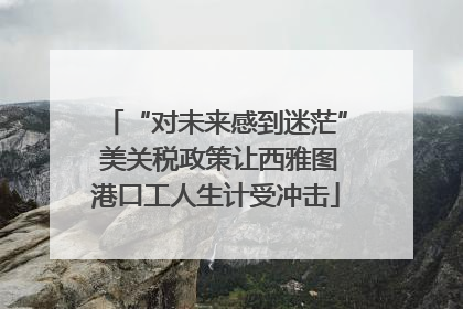 “对未来感到迷茫” 美关税政策让西雅图港口工人生计受冲击