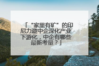 “家里有矿”的印尼力邀中企深化产业下游化，中企有哪些最新考量？
