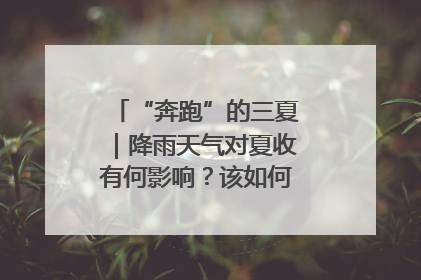 “奔跑”的三夏｜降雨天气对夏收有何影响？该如何防范？一文了解