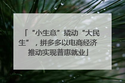 “小生意”撬动“大民生”，拼多多以电商经济推动实现普惠就业