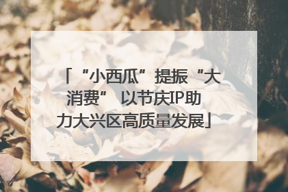 “小西瓜”提振“大消费” 以节庆IP助力大兴区高质量发展