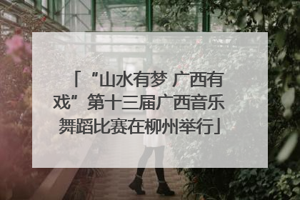 “山水有梦 广西有戏”第十三届广西音乐舞蹈比赛在柳州举行