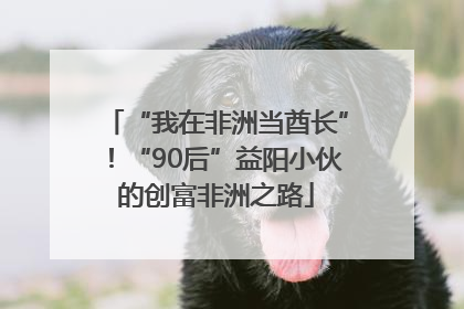 “我在非洲当酋长”！“90后”益阳小伙的创富非洲之路