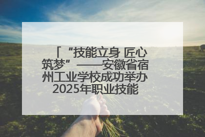 “技能立身 匠心筑梦”——安徽省宿州工业学校成功举办2025年职业技能活动周各项活动