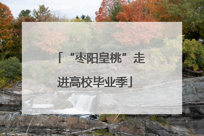 “枣阳皇桃”走进高校毕业季