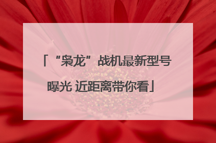 “枭龙”战机最新型号曝光 近距离带你看