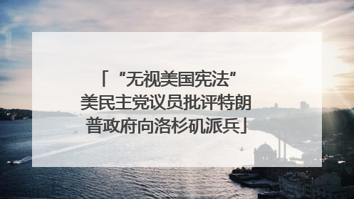 “无视美国宪法” 美民主党议员批评特朗普政府向洛杉矶派兵