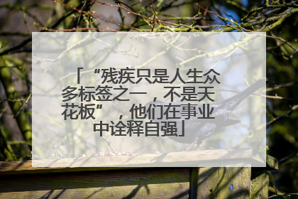 “残疾只是人生众多标签之一，不是天花板”，他们在事业中诠释自强