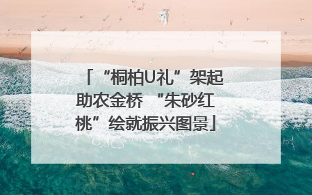 “桐柏U礼”架起助农金桥 “朱砂红桃”绘就振兴图景