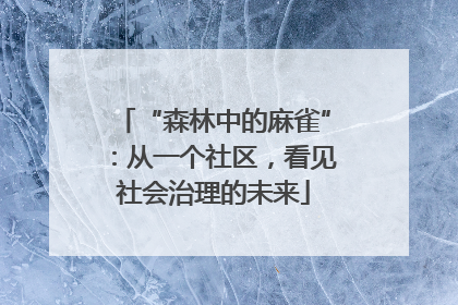“森林中的麻雀”：从一个社区，看见社会治理的未来