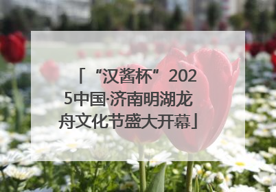 “汉酱杯”2025中国·济南明湖龙舟文化节盛大开幕