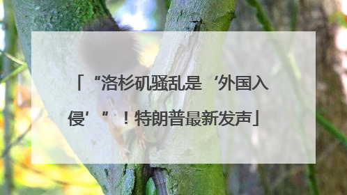“洛杉矶骚乱是‘外国入侵’”！特朗普最新发声