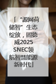 “源网荷储智”生态绽放，固德威2025SNEC领航智慧能源新时代