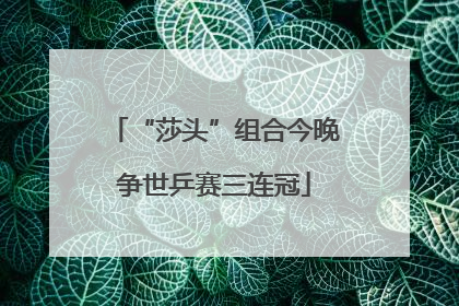“莎头”组合今晚争世乒赛三连冠